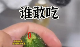 吃瓜爆料图片高清壁纸大全,吃瓜爆料图片大全赏析